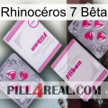 Rhinocéros 7 Bêta 33